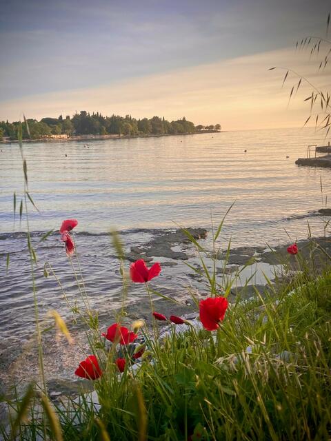 Frauenhass flutet die Steiermark